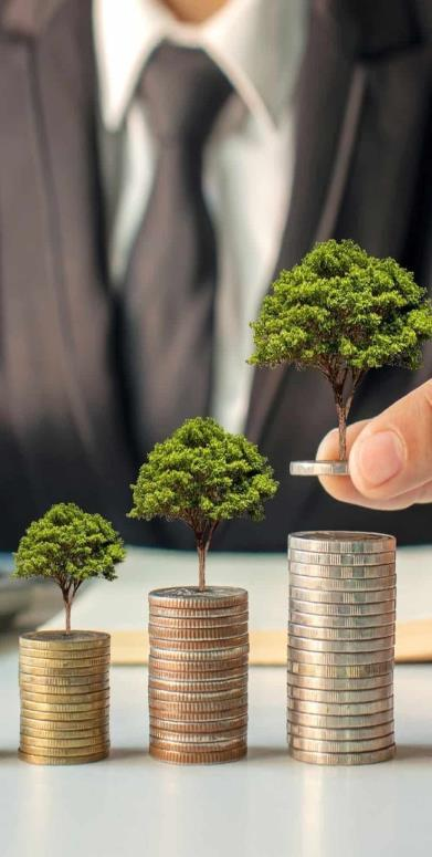 Sustainable finance growth with trees and coins